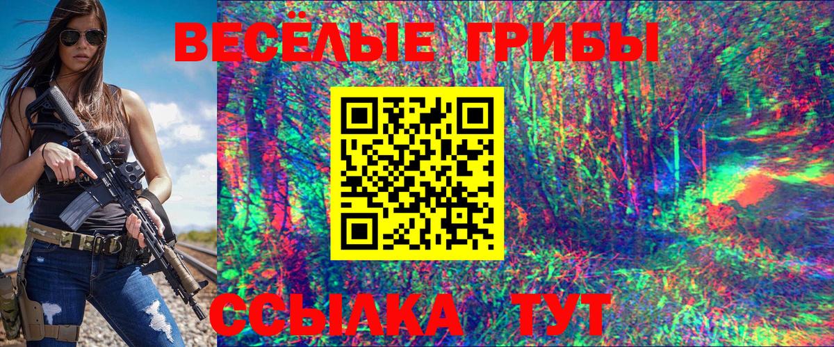 Улан-Удэ  как найти наркотики  Вход с VPN  Псилоцибиновые грибы Psilocybe  Псилоцибиновые грибы Psilocybine cubensis 